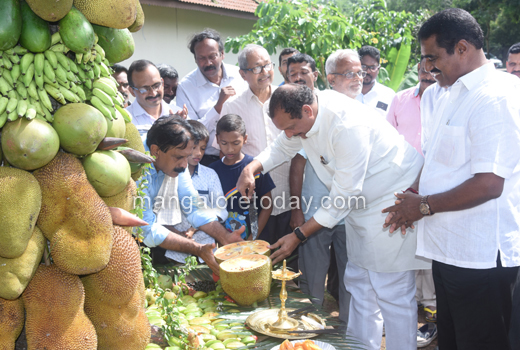 Fruit Mela